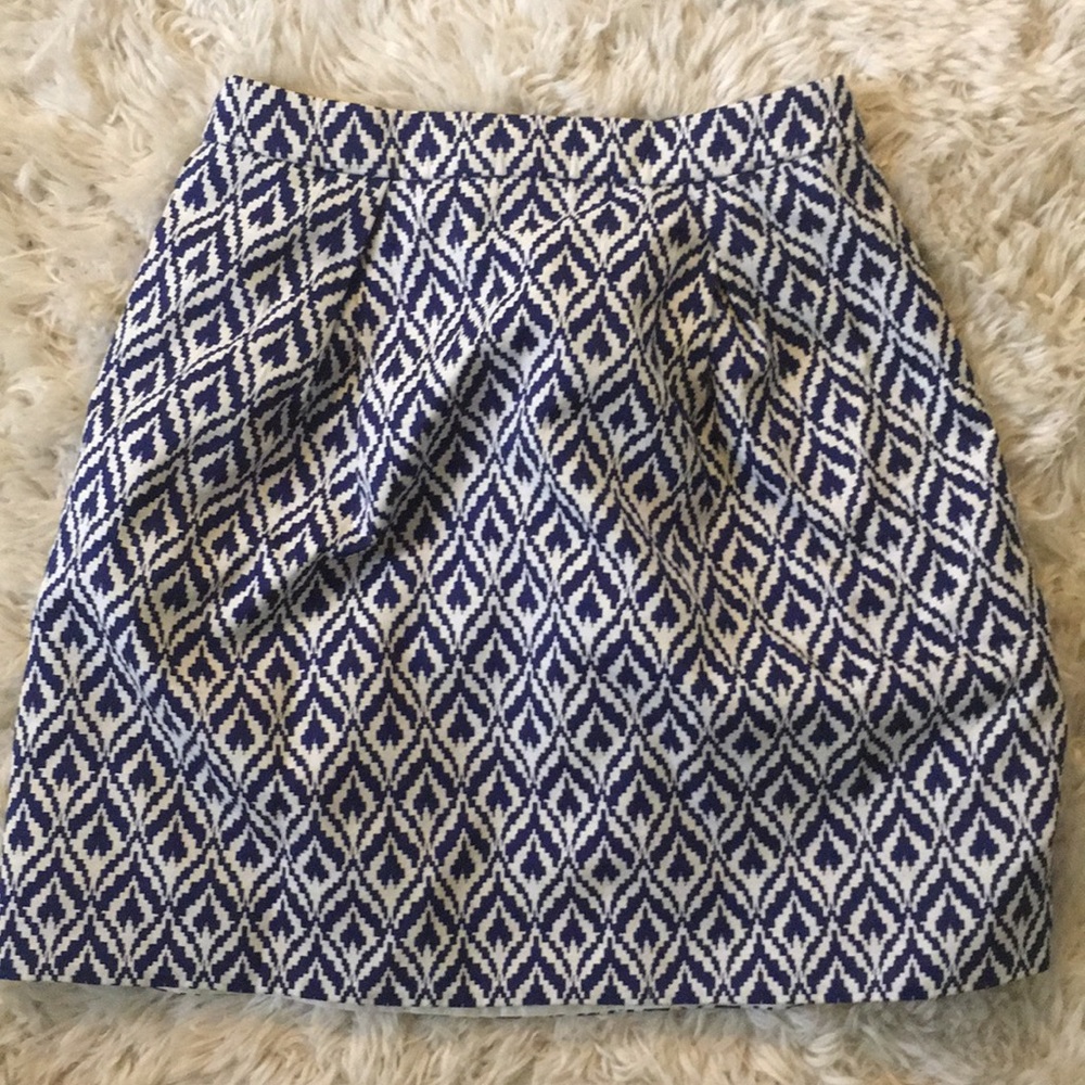 Jcrew skirt